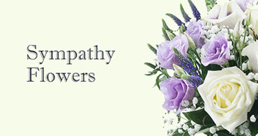 Sympathy Flowers Westminster